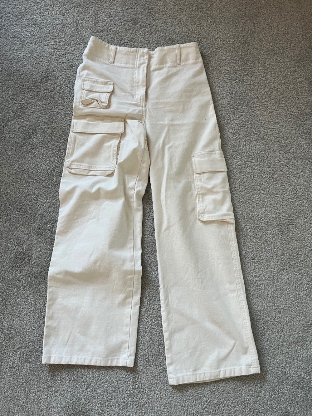 Aritzia Cargo Pants